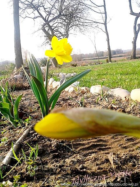 blog budowlany - mojabudowa.pl